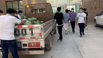 金乡最近吃瓜新闻,揭秘当地热点事件背后的真相