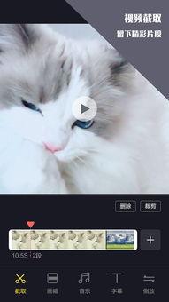 剪辑视频描述吃瓜,吃瓜群众如何解读剪辑中的热点事件