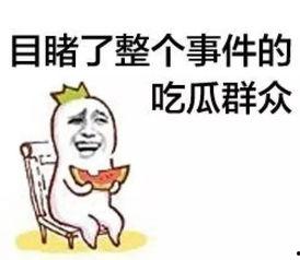 吃瓜群众xyz,一场全民参与的娱乐盛宴