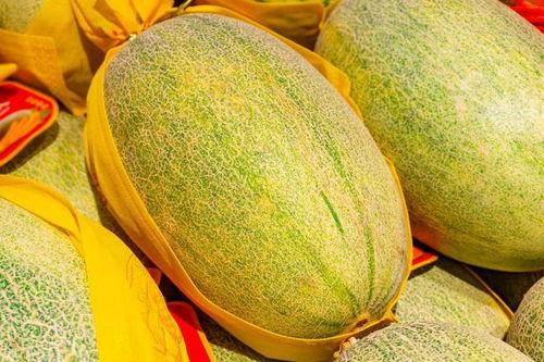 吃新疆瓜,探寻新疆特色瓜果的魅力