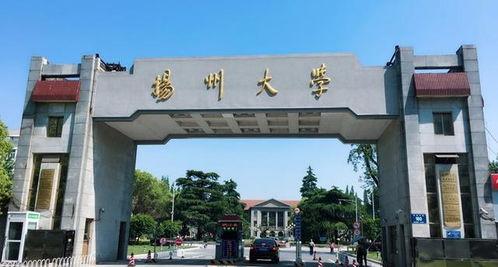 扬州大学吃瓜事件最新,真相与反思