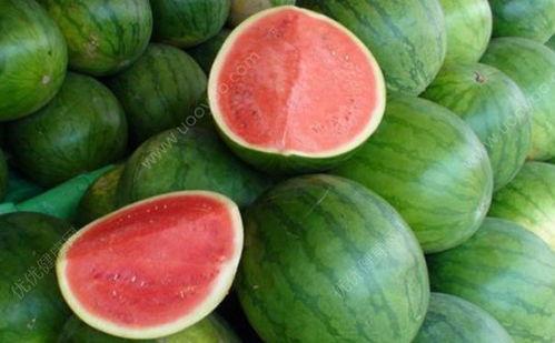 嗯小孩发烧可以吃蒸吗瓜,蒸瓜食疗助康复