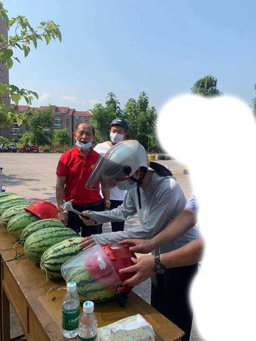 唐山视频吃瓜,一场吃瓜群众的狂欢盛宴