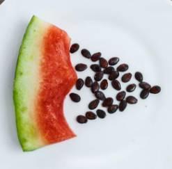 吃西瓜籽不吃瓜,品味生活，拒绝浪费