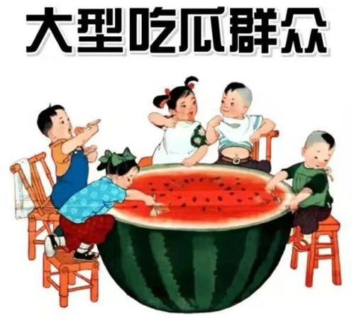 广君吃瓜白板,揭秘娱乐圈幕后故事