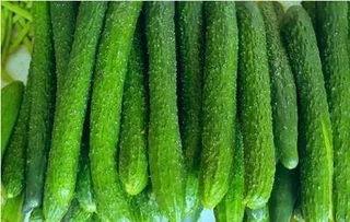 吃瓜洛阳,揭秘古都美食新潮流