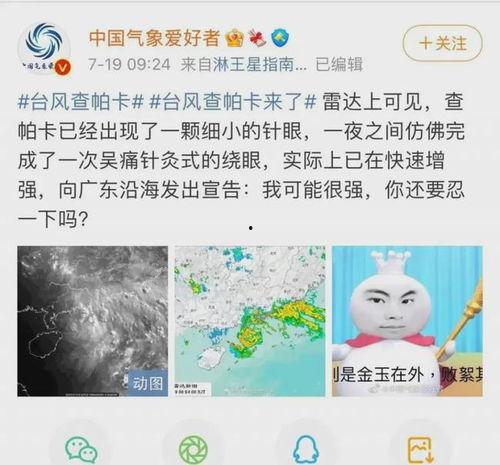 端庄优雅吃瓜,品味瓜界盛宴