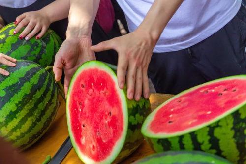 吃瓜江师大,吃瓜群众眼中的校园风云录