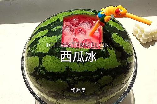 吃瓜吃过瘾,一瓜在手，快乐我有！