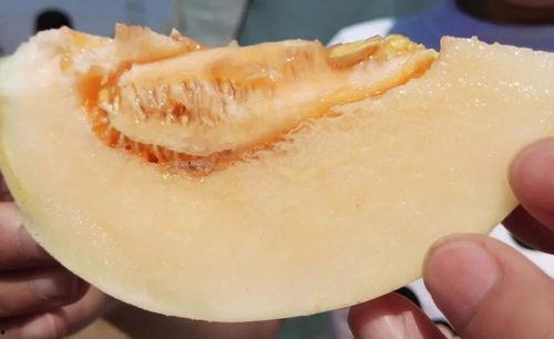 吃瓜视频一般在哪吃,吃瓜群众，瓜在何处香？