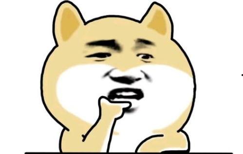 最新吃瓜搞笑段子,笑料百出！最新吃瓜搞笑段子大盘点