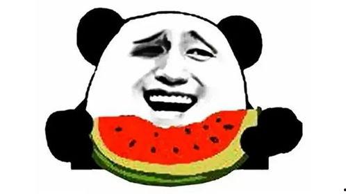 这么冷的天还有瓜吃