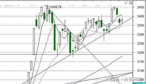 安心吃瓜风险分析,揭秘食品安全风险与防范策略