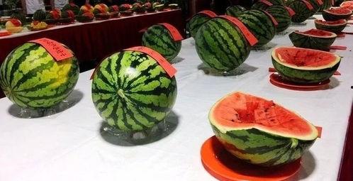 邯郸西湖村吃瓜,瓜香四溢的乡村美食之旅